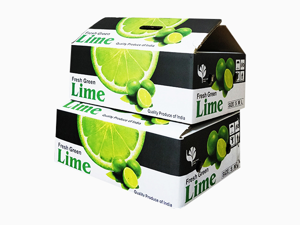 Customized Packaging Boxes